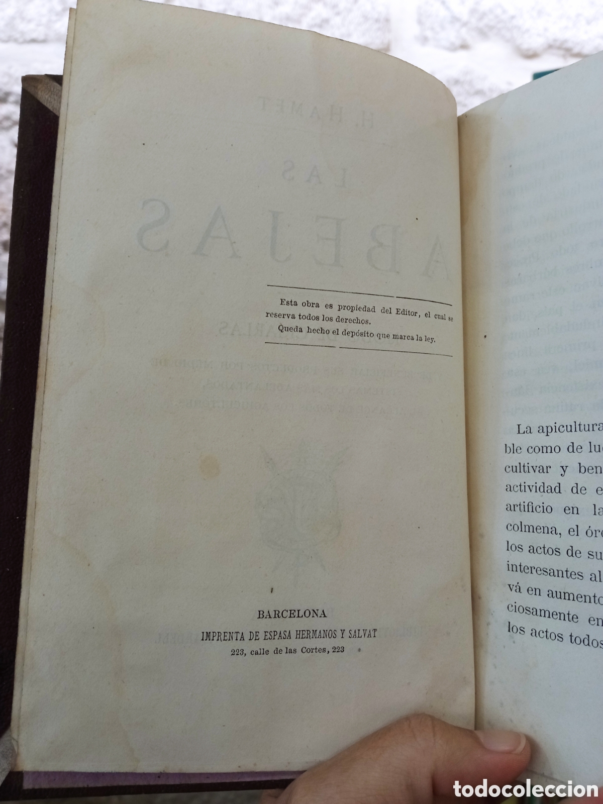 Libros antiguos: Hamet, H.- Las abejas. Modo de criarlas - Foto 3