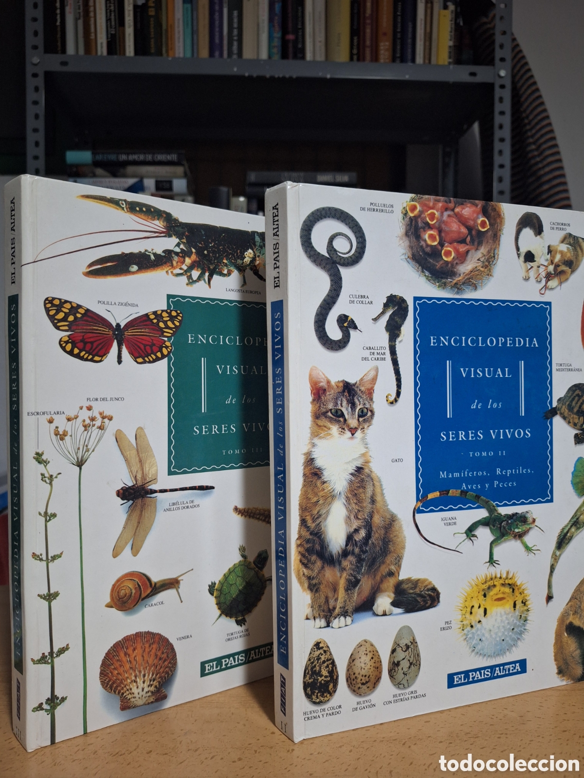 Libros antiguos: Enciclopedia Visual de los Seres Vivos II y III - Foto 1
