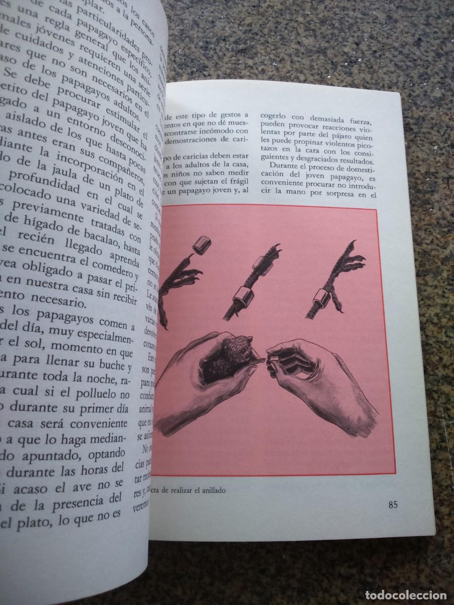 Libros antiguos: EL GRAN LIBRO DE LOS PAPAGAYOS -- VECCHI 1989 -- - Foto 2