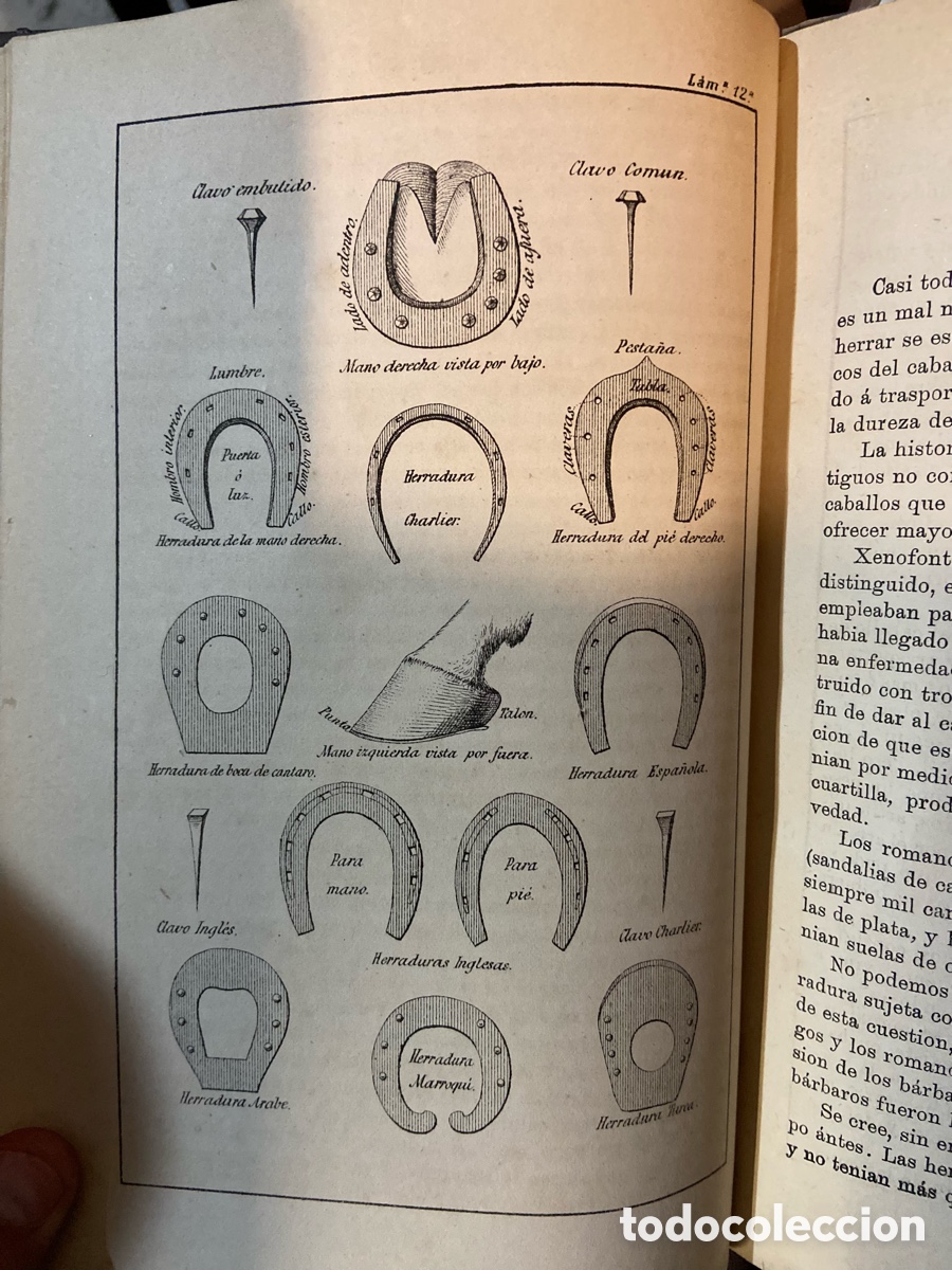 Libros antiguos: Obra completa de Equitaci&oacute;n- Jose Hidalgo-B4 - Foto 5