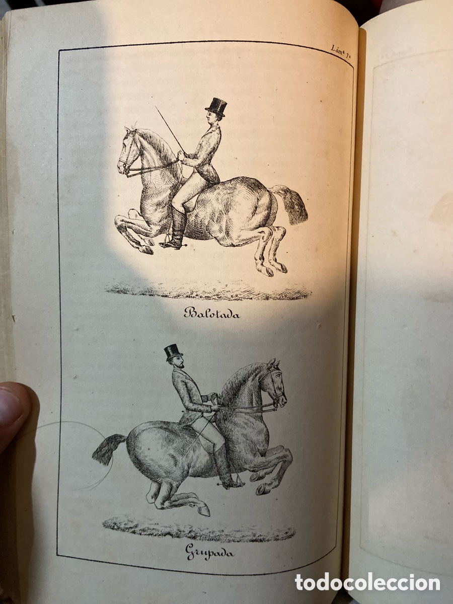 Libros antiguos: Obra completa de Equitaci&oacute;n- Jose Hidalgo-B4 - Foto 7