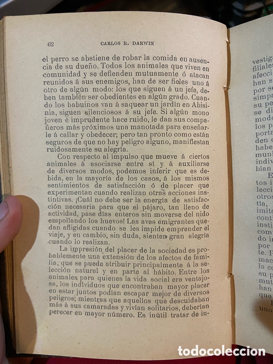Libros antiguos: El Origen del Hombre - Darwin - B5 - Foto 6