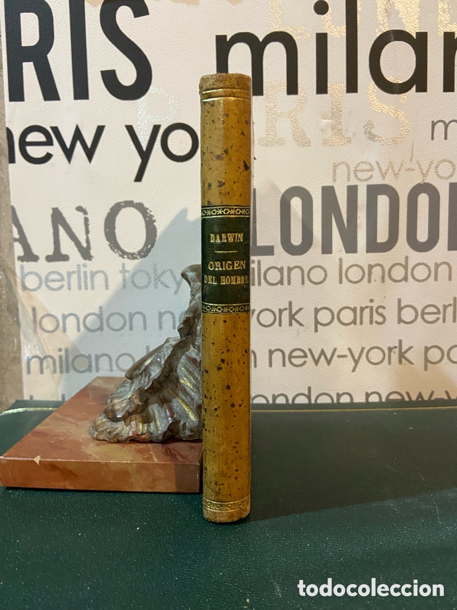 Libros antiguos: El Origen del Hombre - Darwin - B5 - Foto 1