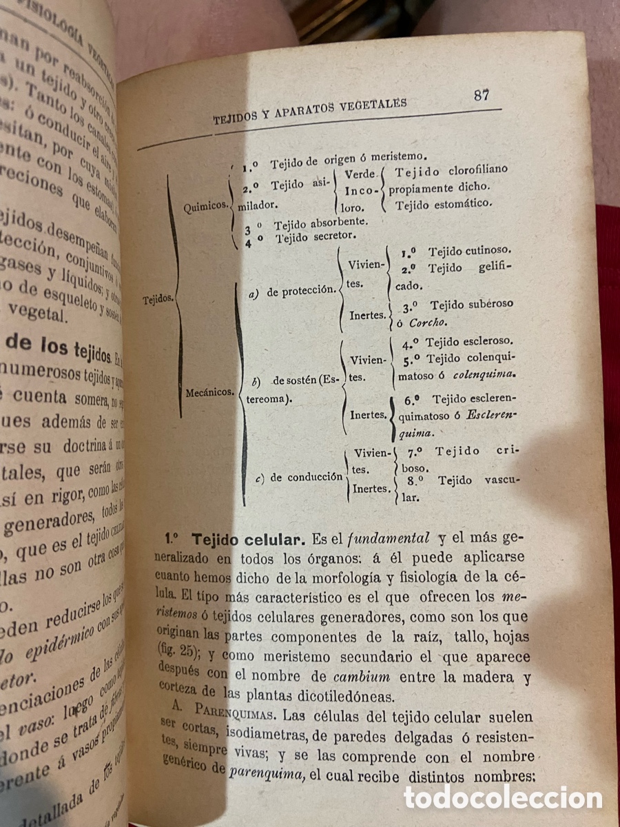 Libros antiguos: Organogragia y Botanica - Risue&ntilde;o - B4 - Foto 8