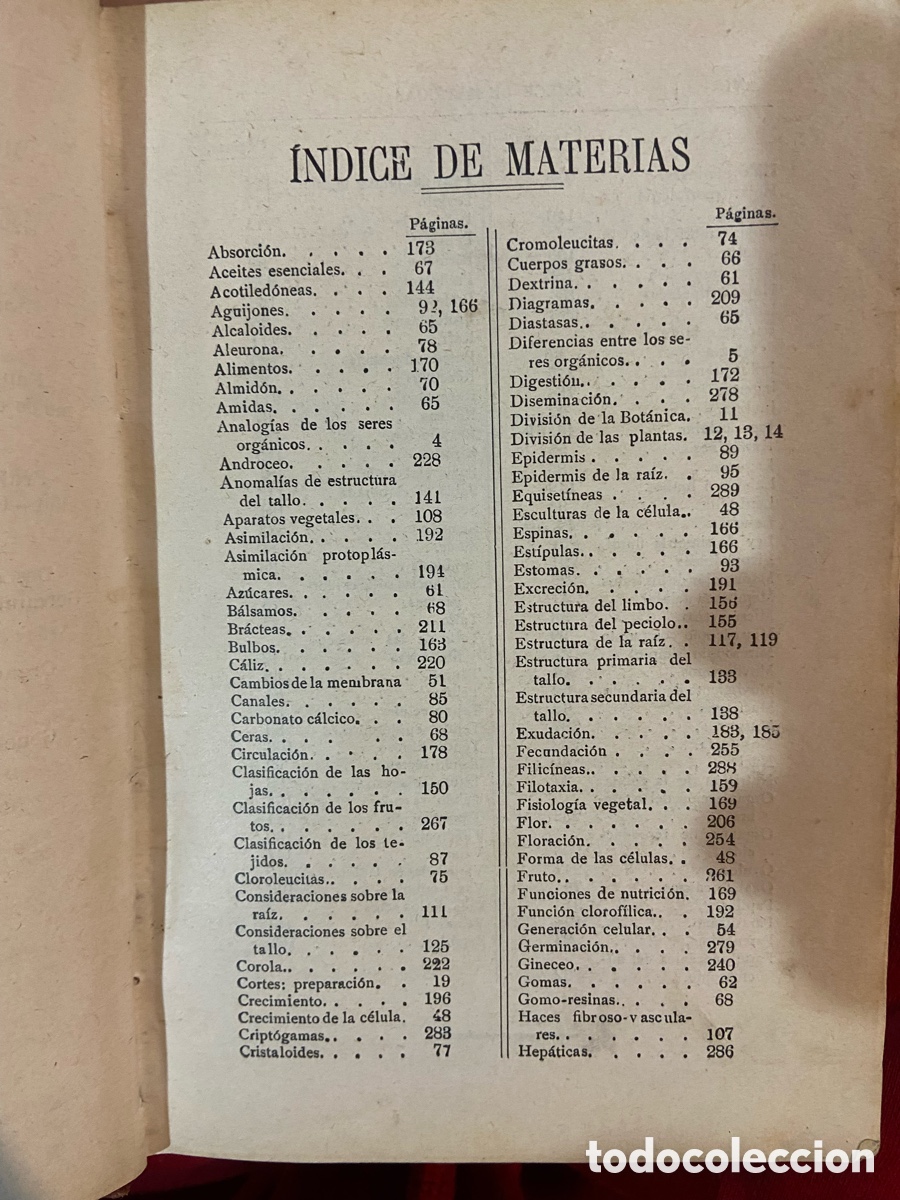Libros antiguos: Organogragia y Botanica - Risue&ntilde;o - B4 - Foto 10