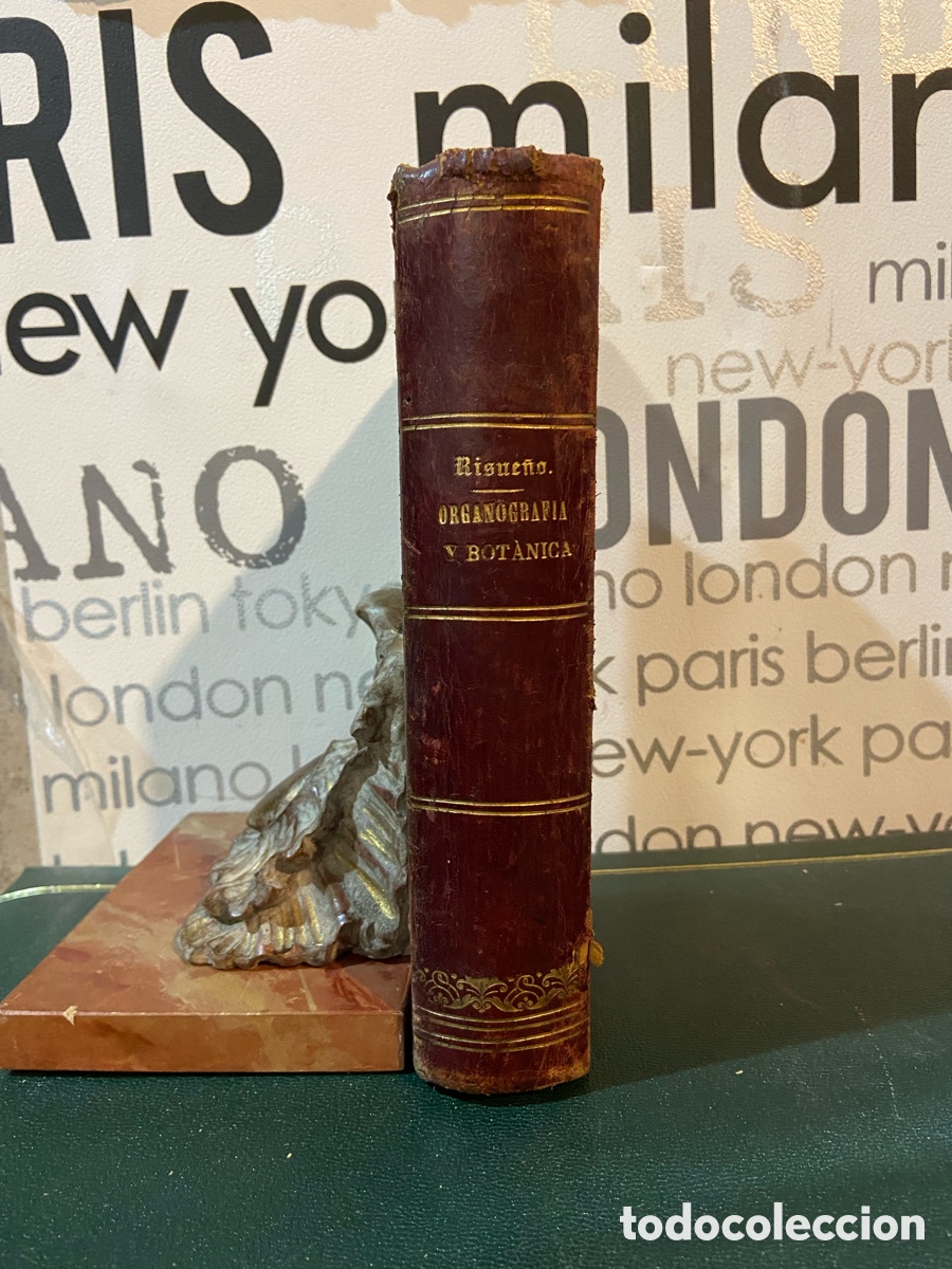 Libros antiguos: Organogragia y Botanica - Risue&ntilde;o - B4 - Foto 1