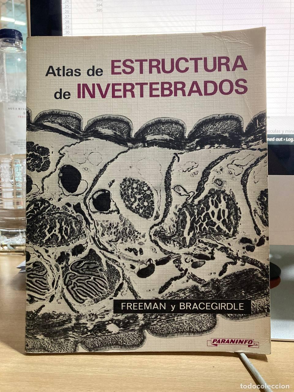 Libros antiguos: Atlas de estructura de invertebrados - Foto 1
