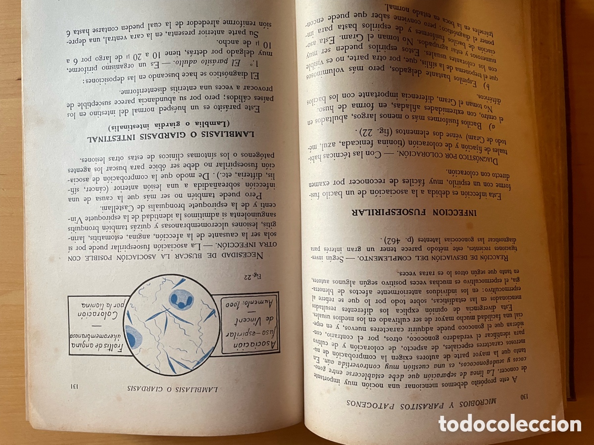 Libros antiguos: El laboratorio moderno del m&eacute;dico pr&aacute;ctico. 1933 - Foto 5
