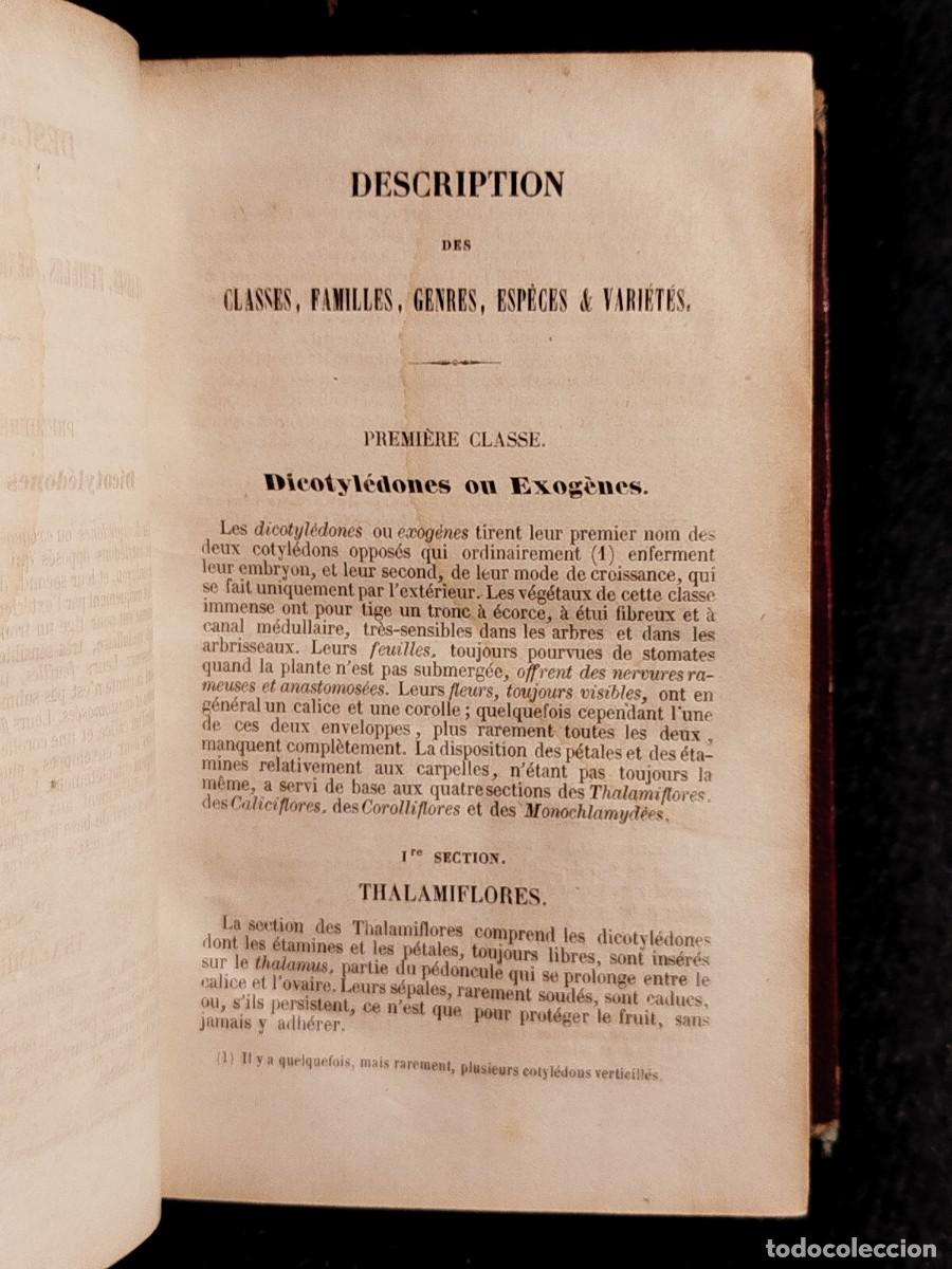 Libros antiguos: 1854. Etudes des fleurs. Botanique elementaire, descriptive et usuelle. - Foto 5