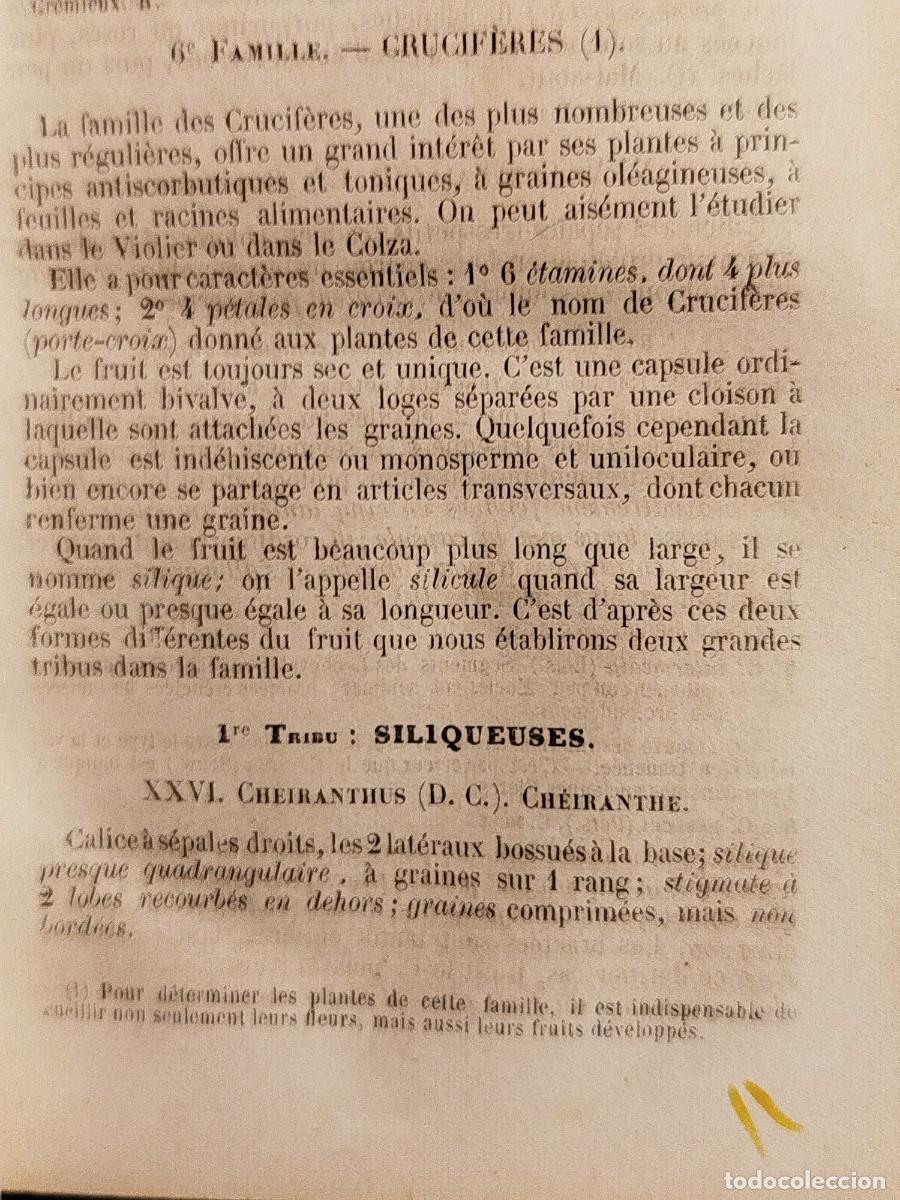 Libros antiguos: 1854. Etudes des fleurs. Botanique elementaire, descriptive et usuelle. - Foto 6