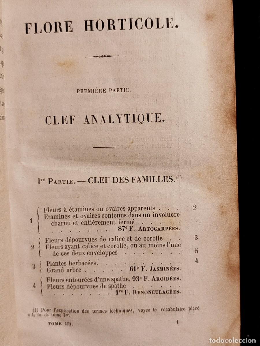 Libros antiguos: 1854. Etudes des fleurs. Botanique elementaire, descriptive et usuelle. - Foto 7