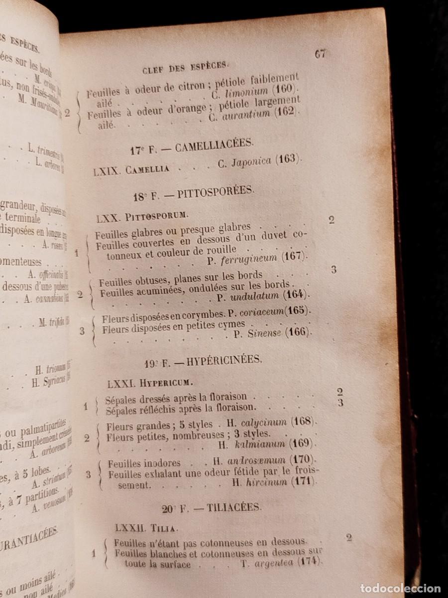 Libros antiguos: 1854. Etudes des fleurs. Botanique elementaire, descriptive et usuelle. - Foto 13