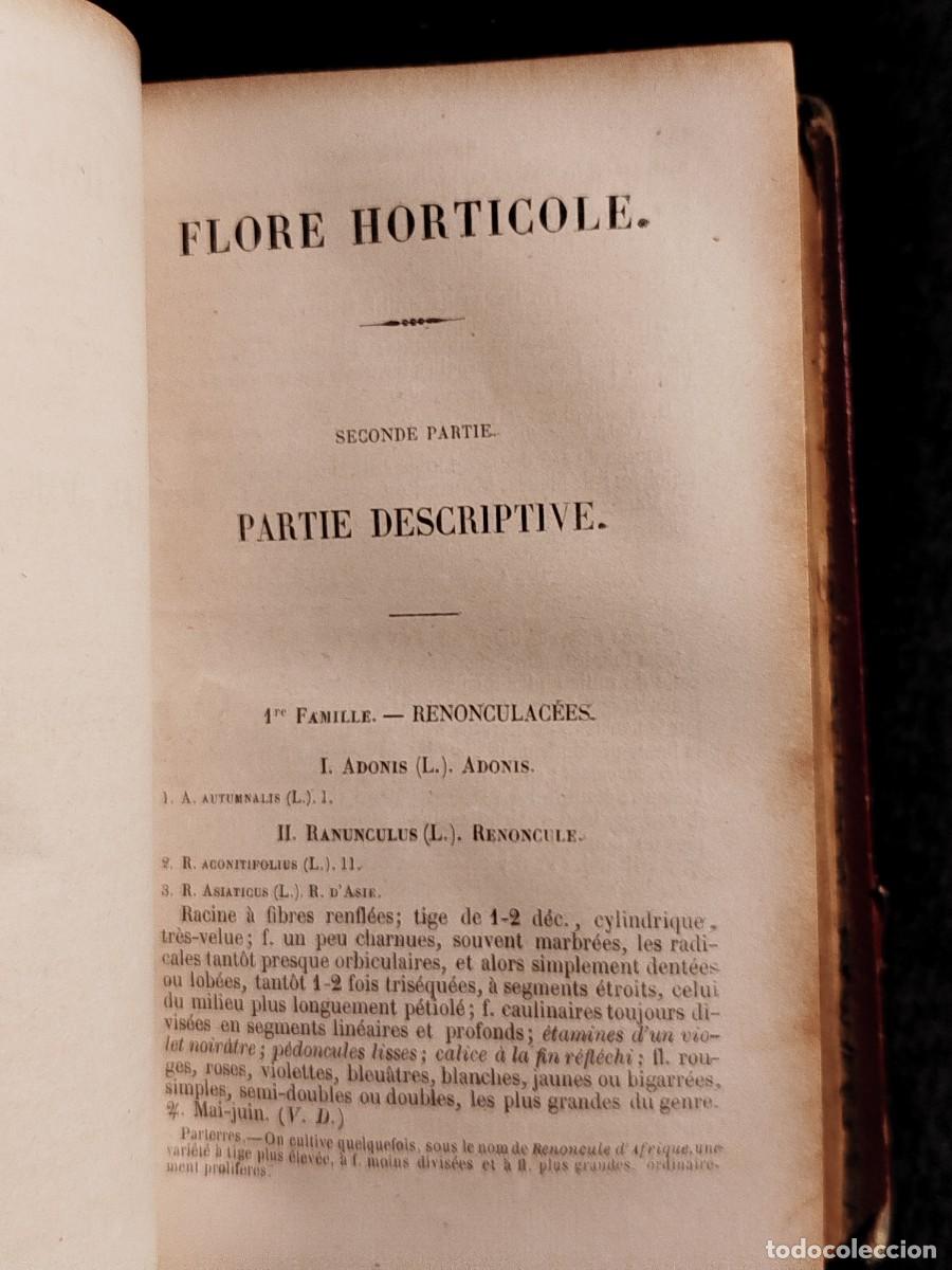 Libros antiguos: 1854. Etudes des fleurs. Botanique elementaire, descriptive et usuelle. - Foto 14