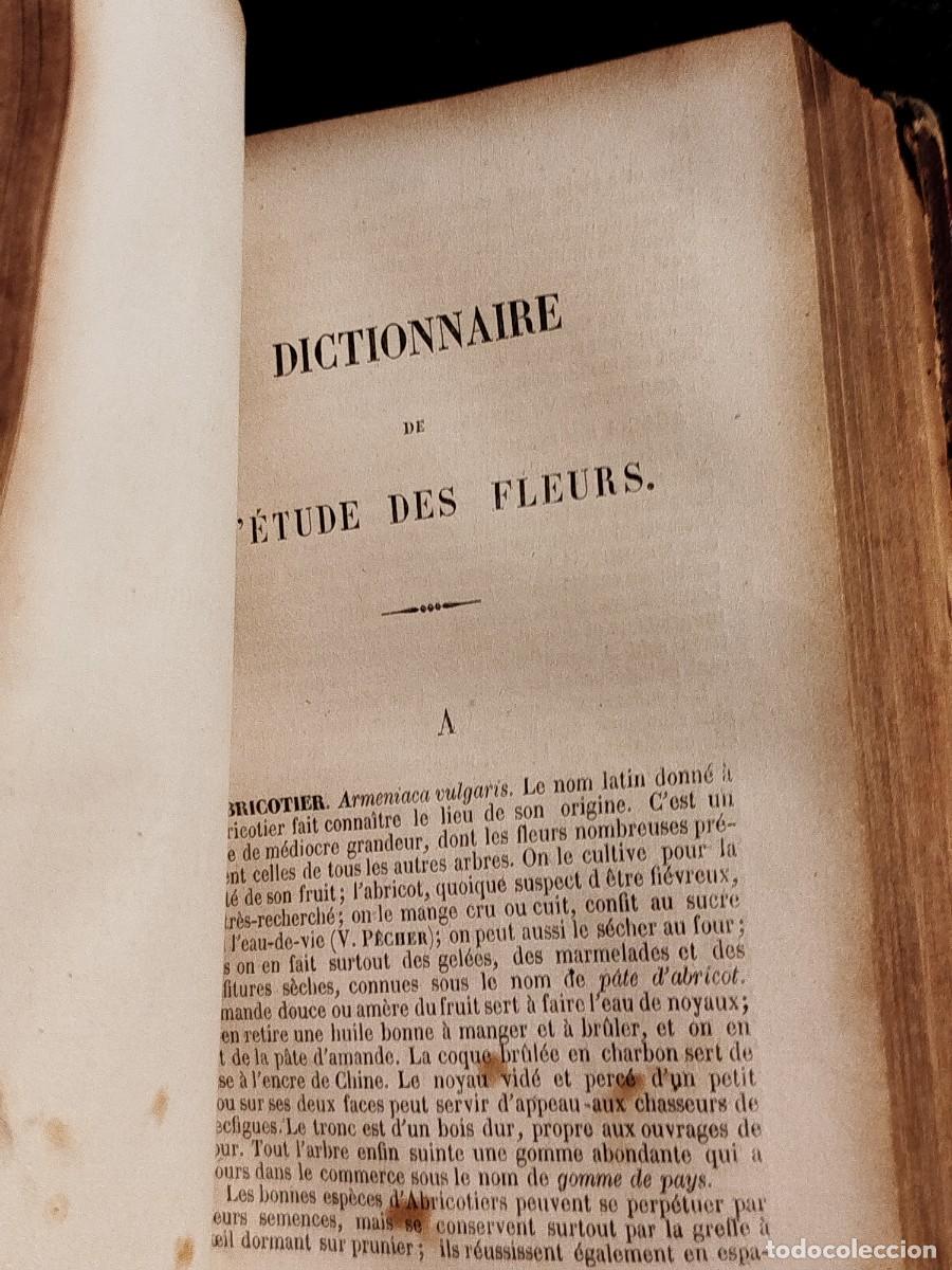 Libros antiguos: 1854. Etudes des fleurs. Botanique elementaire, descriptive et usuelle. - Foto 15