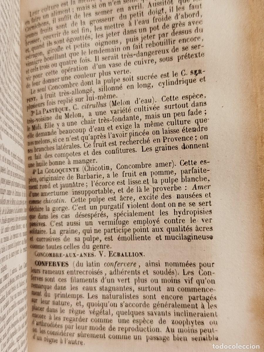 Libros antiguos: 1854. Etudes des fleurs. Botanique elementaire, descriptive et usuelle. - Foto 16
