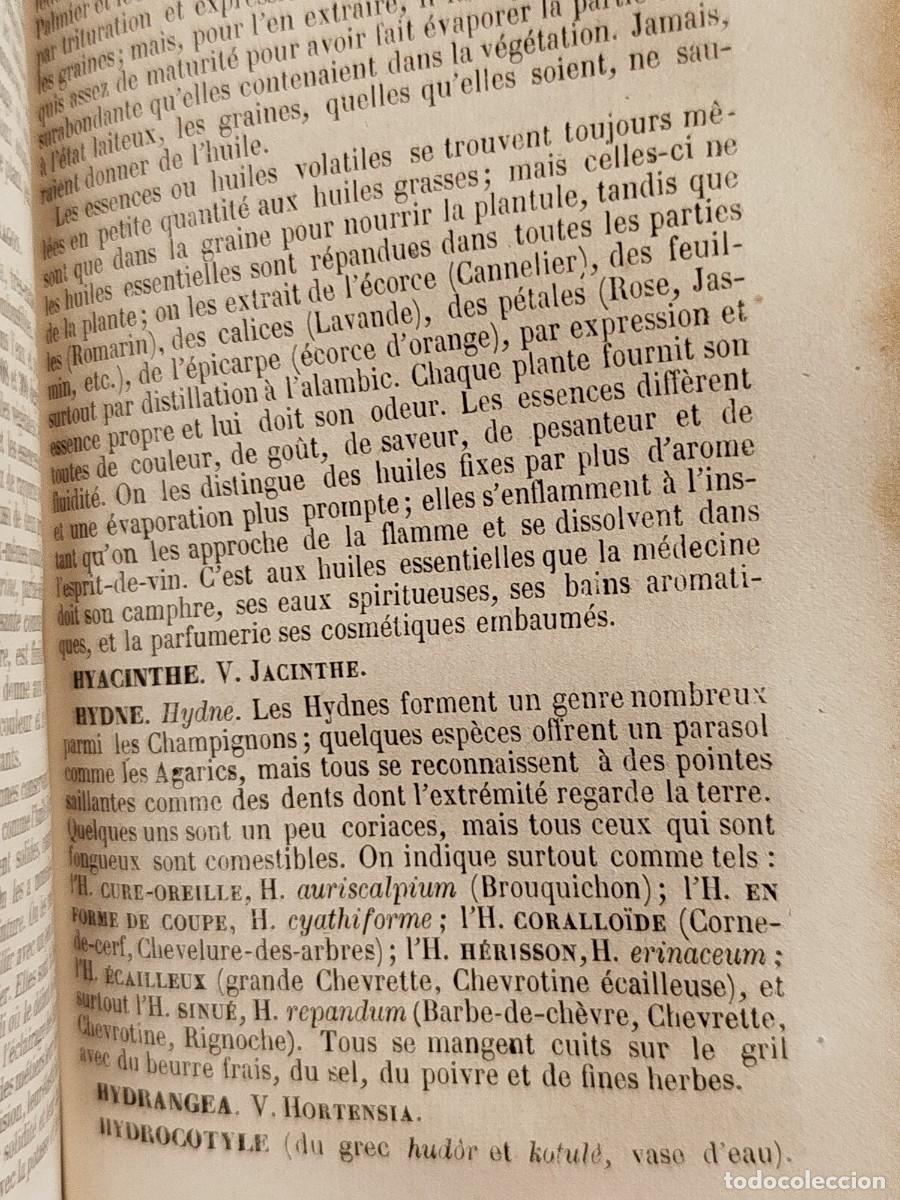 Libros antiguos: 1854. Etudes des fleurs. Botanique elementaire, descriptive et usuelle. - Foto 17