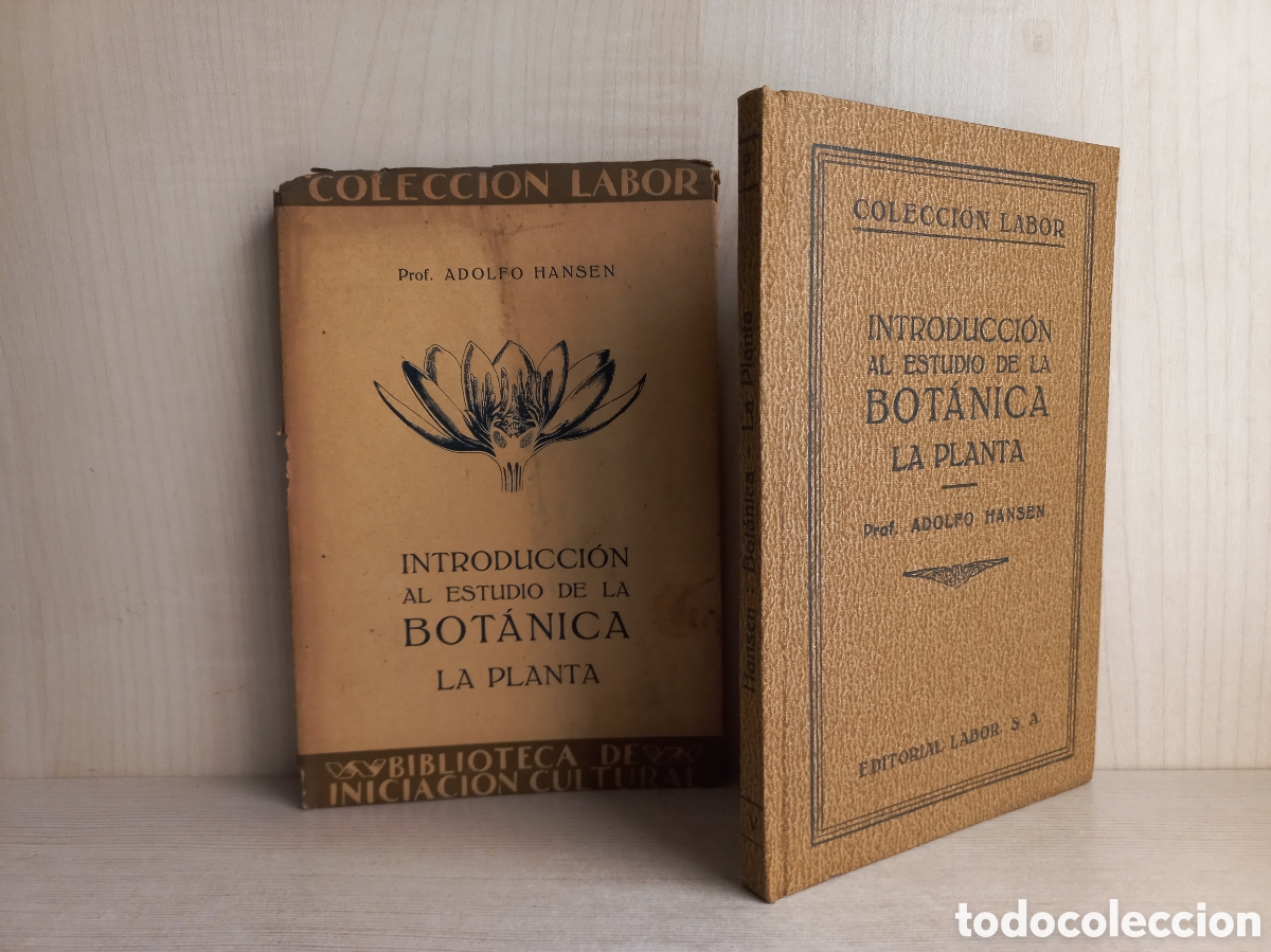 Libros antiguos: Introducci&oacute;n al estudio de la bot&aacute;nica. Adolfo Hansen. Labor. Ilustrado. - Foto 4