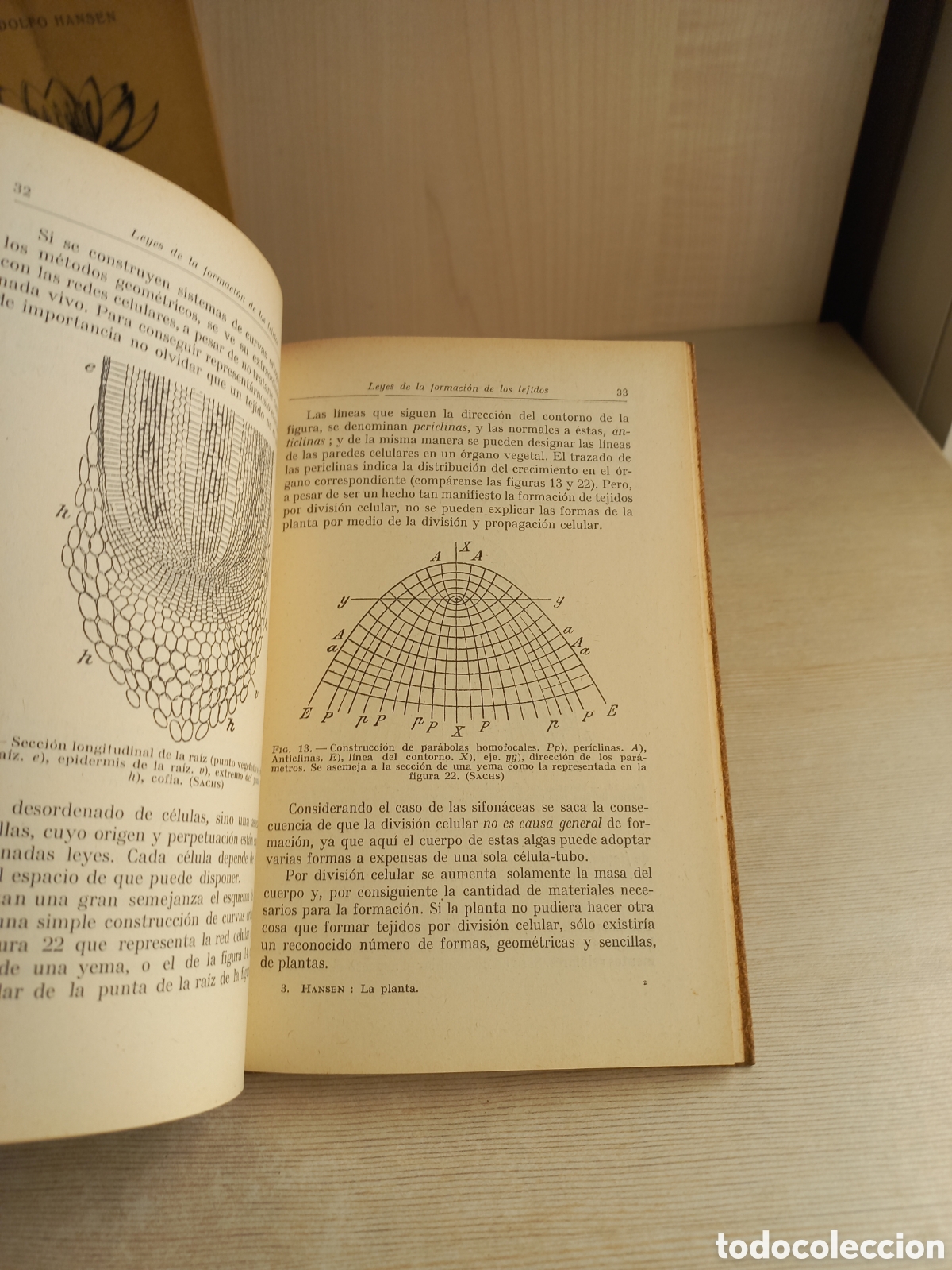 Libros antiguos: Introducci&oacute;n al estudio de la bot&aacute;nica. Adolfo Hansen. Labor. Ilustrado. - Foto 8