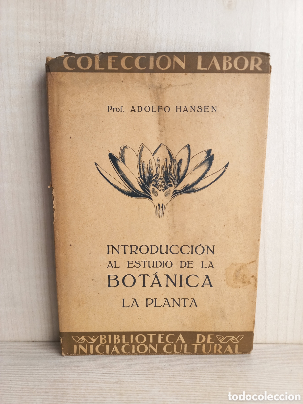 Libros antiguos: Introducci&oacute;n al estudio de la bot&aacute;nica. Adolfo Hansen. Labor. Ilustrado. - Foto 1