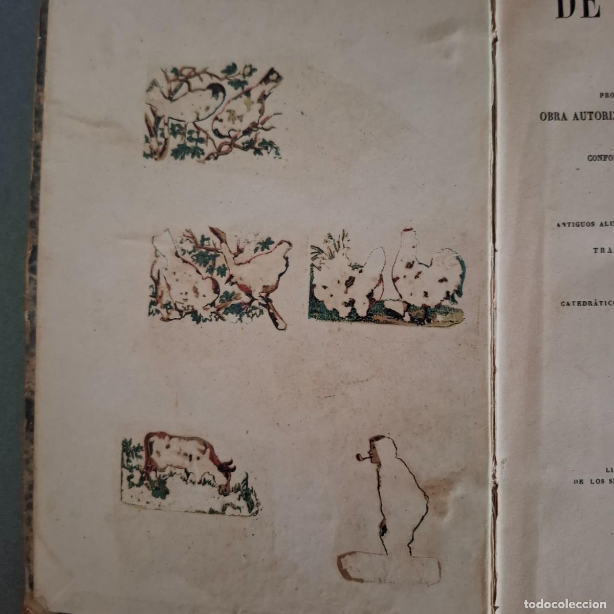 Libros antiguos: Lecciones de aritm&eacute;tica - P.L.Girodde - 1883 - Foto 2