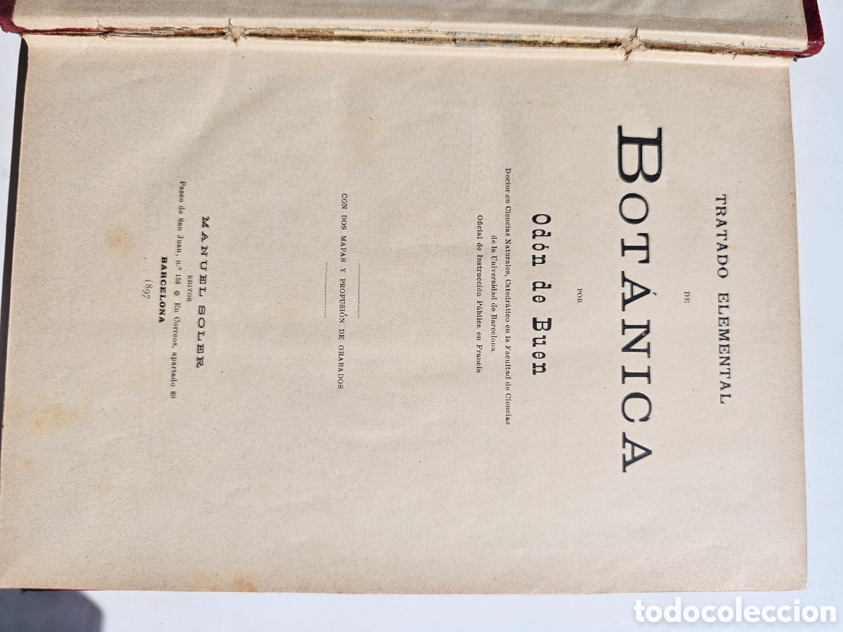 Libros antiguos: Fant&aacute;stico libro Tratado elemental de bot&aacute;nica 1897 - Foto 2