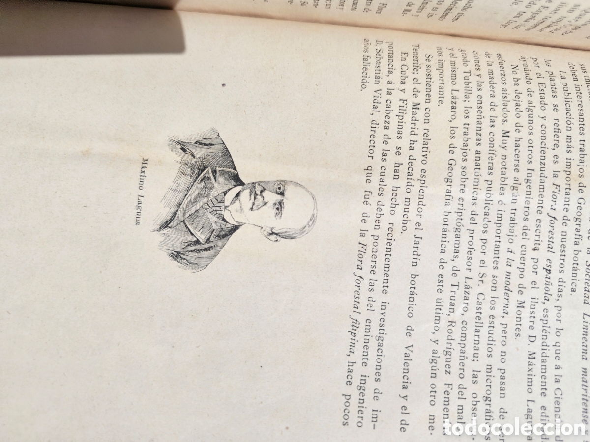 Libros antiguos: Fant&aacute;stico libro Tratado elemental de bot&aacute;nica 1897 - Foto 3