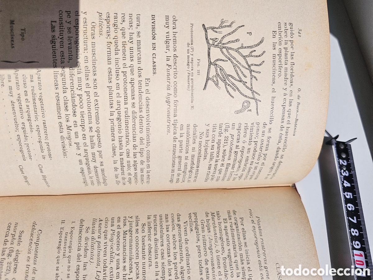 Libros antiguos: Fant&aacute;stico libro Tratado elemental de bot&aacute;nica 1897 - Foto 5