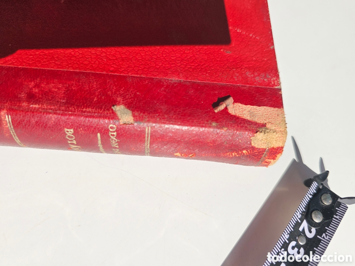 Libros antiguos: Fant&aacute;stico libro Tratado elemental de bot&aacute;nica 1897 - Foto 6