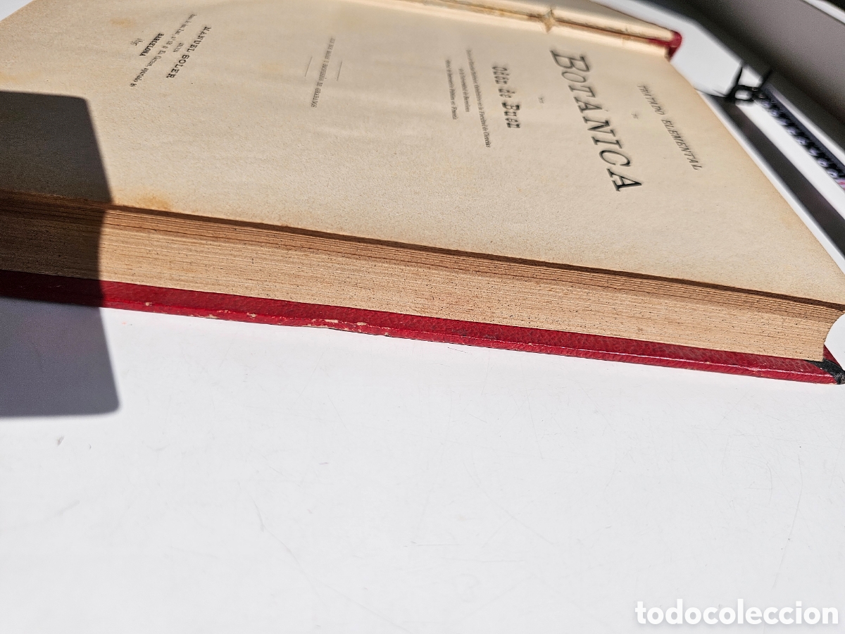 Libros antiguos: Fant&aacute;stico libro Tratado elemental de bot&aacute;nica 1897 - Foto 7