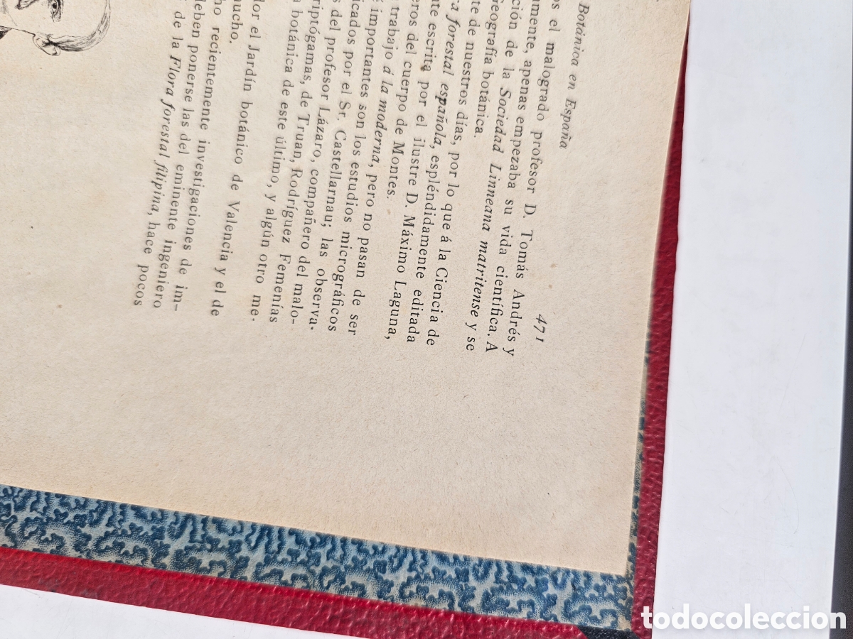 Libros antiguos: Fant&aacute;stico libro Tratado elemental de bot&aacute;nica 1897 - Foto 9