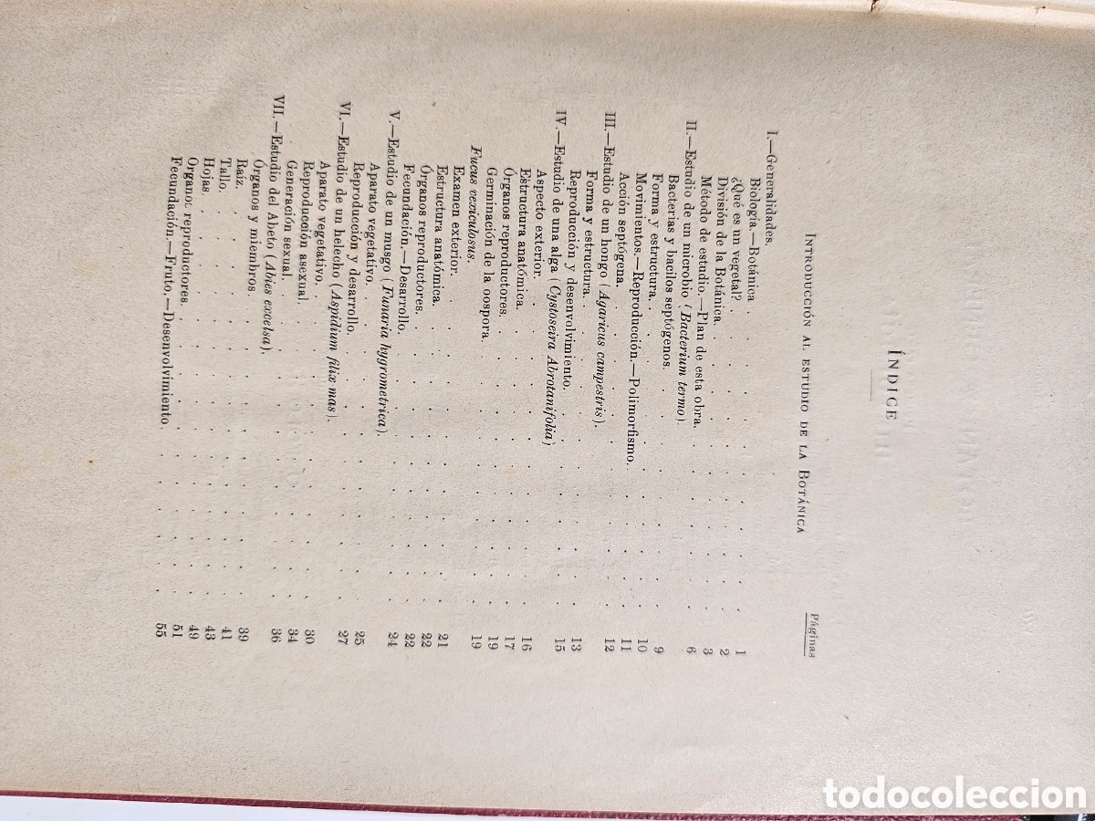 Libros antiguos: Fant&aacute;stico libro Tratado elemental de bot&aacute;nica 1897 - Foto 11