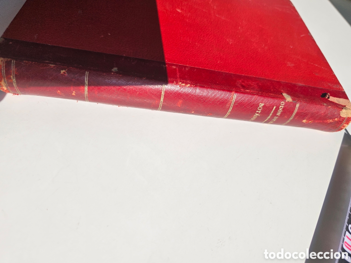 Libros antiguos: Fant&aacute;stico libro Tratado elemental de bot&aacute;nica 1897 - Foto 17