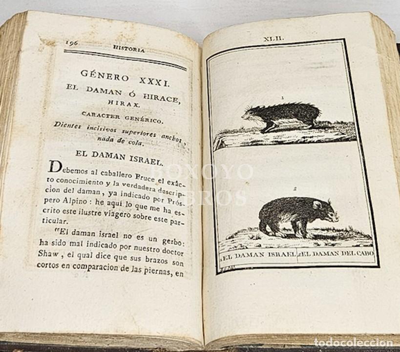 Libros antiguos: BUFFON. Compendio de la Historia Natural de Buffon. Tomo XI. 1804 - Foto 2