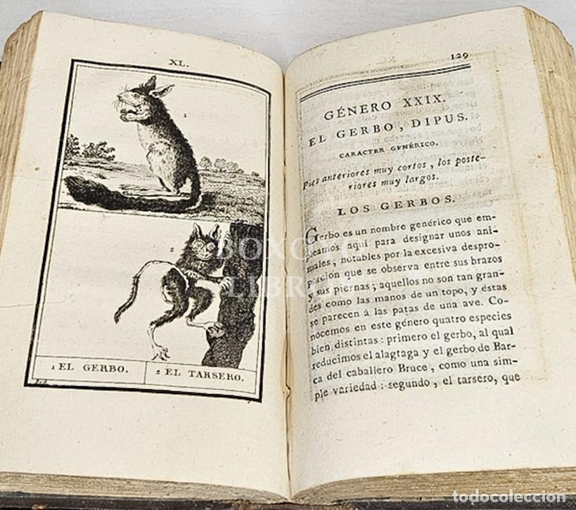 Libros antiguos: BUFFON. Compendio de la Historia Natural de Buffon. Tomo XI. 1804 - Foto 3