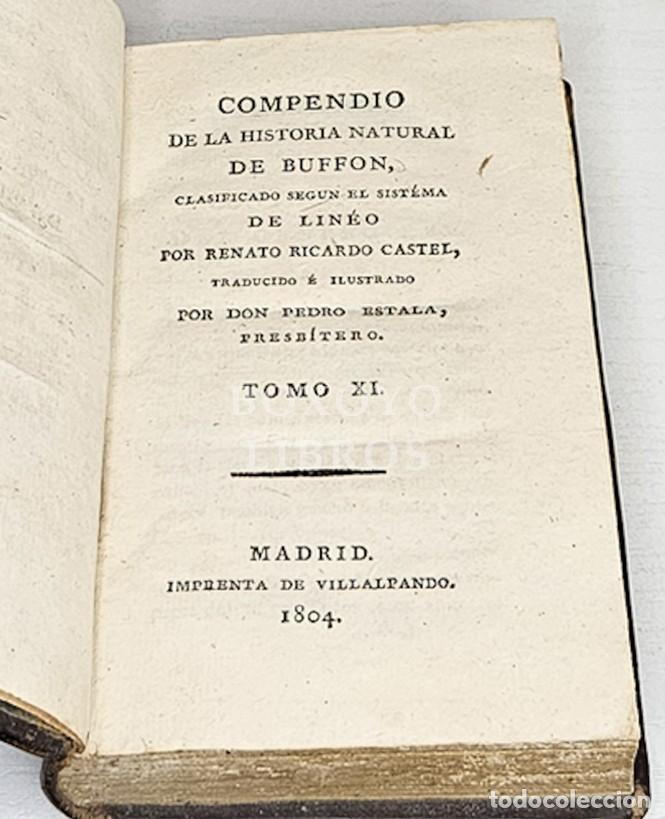Libros antiguos: BUFFON. Compendio de la Historia Natural de Buffon. Tomo XI. 1804 - Foto 4