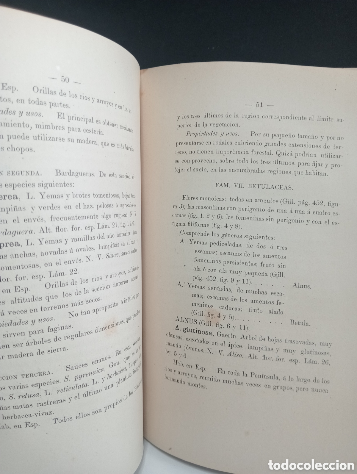 Libros antiguos: APUNTES DE BOT&Aacute;NICA - FITOGRAFIA - Foto 3