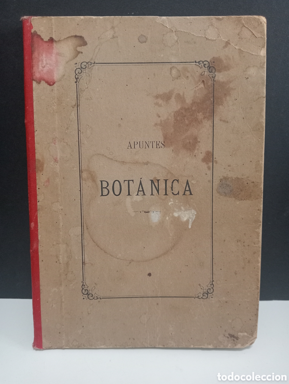 Libros antiguos: APUNTES DE BOT&Aacute;NICA - FITOGRAFIA - Foto 1