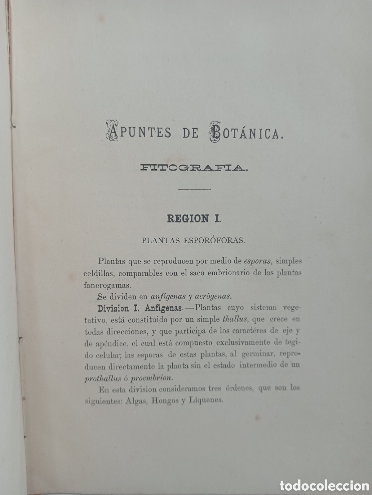 Libros antiguos: APUNTES DE BOT&Aacute;NICA - FITOGRAFIA - Foto 2