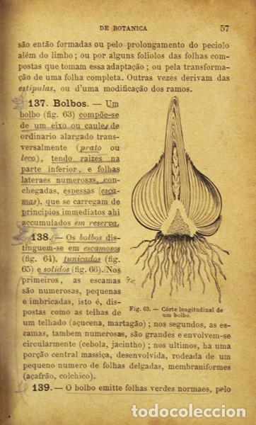 Libros antiguos: PEREIRA COUTINHO. (ANTONIO XAVIER) - ELEMENTOS DE BOT&Acirc;NICA. - Foto 2
