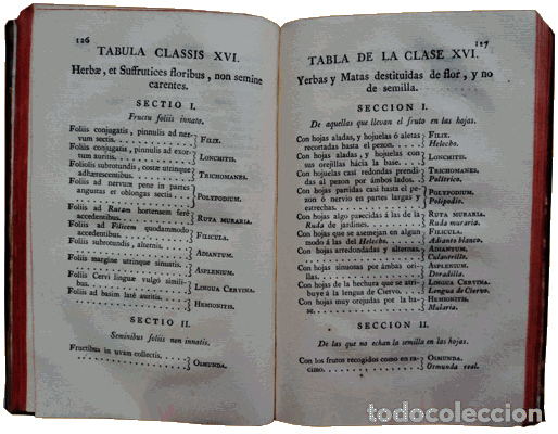 Libros antiguos: GOMEZ ORTEGA. (Casimiro) - TABLAS BOT&Aacute;NICAS, [TABULAE BOTANICAE] - Foto 3
