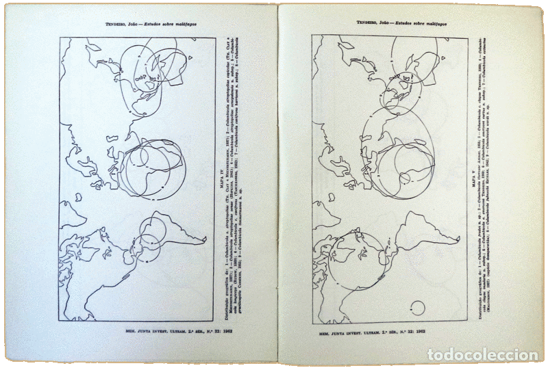 Libros antiguos: TENDEIRO. (Jo&atilde;o) - ESTUDOS SOBRE MAL&Oacute;FAGOS. - Foto 3