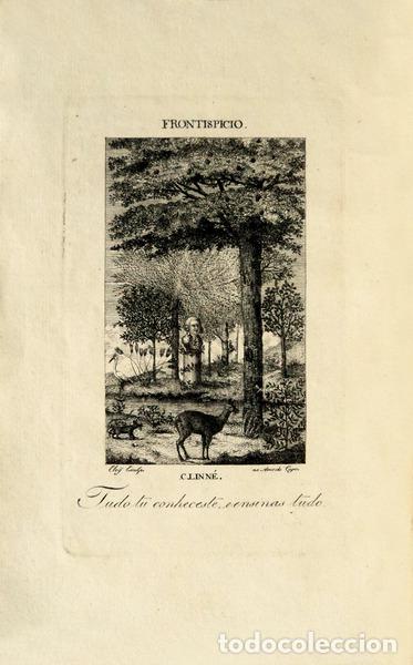 Libros antiguos: CASTEL, Ricardo de. - AS PLANTAS, - Foto 2