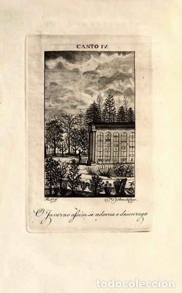 Libros antiguos: CASTEL, Ricardo de. - AS PLANTAS, - Foto 3