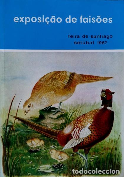 Libros antiguos: EXPOSI&Ccedil;&Atilde;O DE FAIS&Otilde;ES. - Foto 1