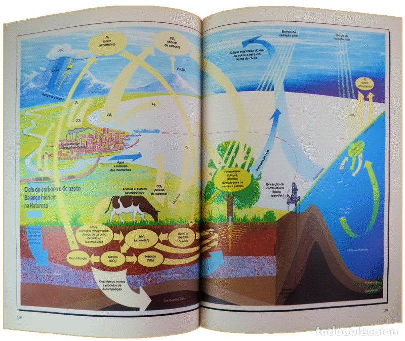 Libros antiguos: BOT&Acirc;NICA - Foto 3
