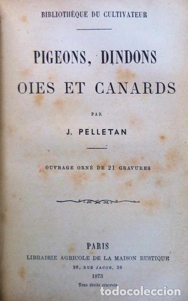 Libros antiguos: TOUCHARD. (Alfred) - GUIDE POUR &Eacute;LEVER LES FAISANS, COLINS, PERDRIX, CAILLES, - Foto 3