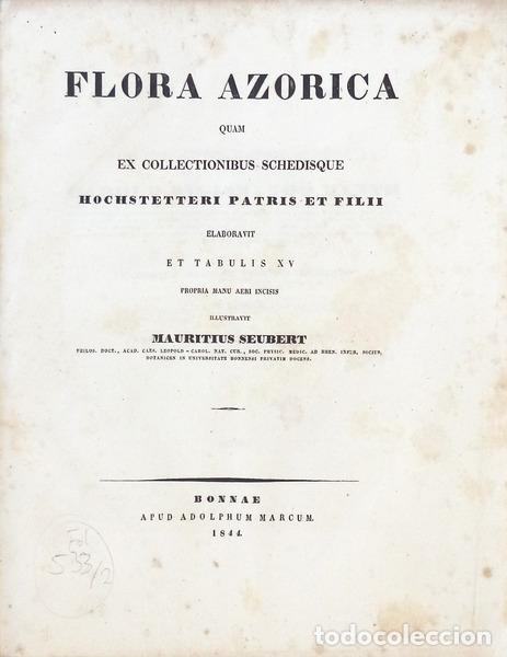 Libros antiguos: SEUBERT, (Mauricius). - FLORA AZORICA - Foto 2