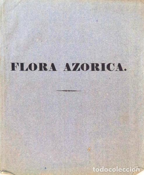 Libros antiguos: SEUBERT, (Mauricius). - FLORA AZORICA - Foto 1
