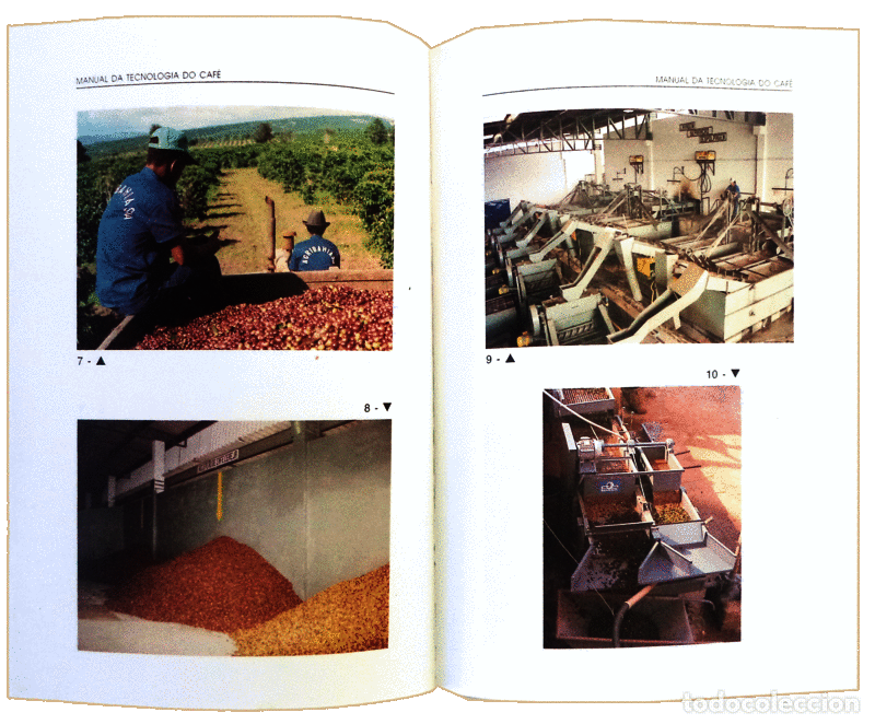 Libros antiguos: CORREIA. (Augusto M.) - MANUAL DA TECNOLOGIA DO CAF&Eacute;. - Foto 3