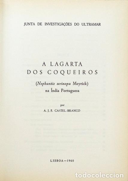 Libros antiguos: CASTEL-BRANCO. (A. J. F.) - A LAGARTA DOS COQUEIROS. - Foto 2